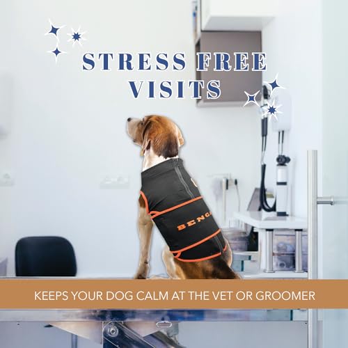 NFL Cincinnati Bengals Dog Anxiety Shirt Calming Soothing Solution Vest (CINCINNATI BENGALS / Small)