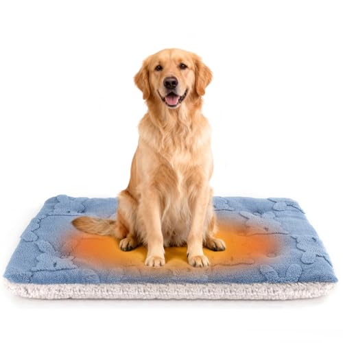 Self Warming Cat Bed (M - 28 X 22 Inch)