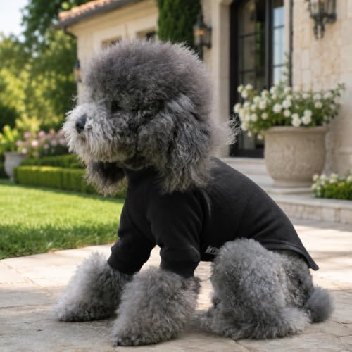 Ribbed Dog T Shirt Cotton Knitted Dog Sweaters for All Season Pet T (XS (for Mini Dog) / Black)