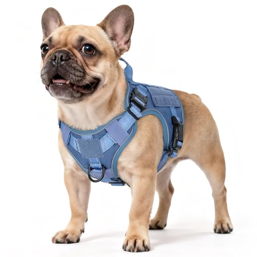 Tactical Dog Harness for Small (Blue Reflex / Small)