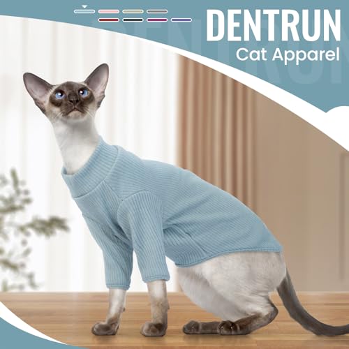 Hairless Cat Shirt (Medium / Blue)