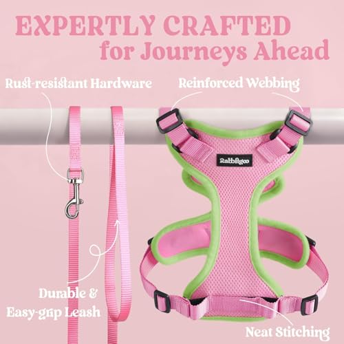 Cat Harness and Leash Set (Xs / Pink & Light Green)