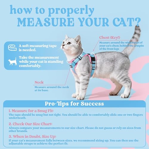 Cat Harness and Leash Set (M / Light Blue & Pink)