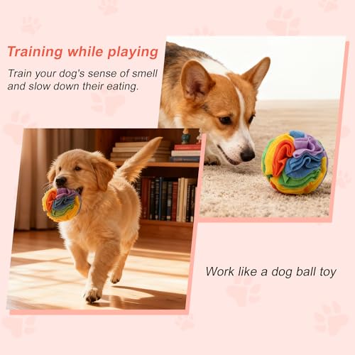 Snuffle Ball for Dogs (Bright Rainbow / Small)