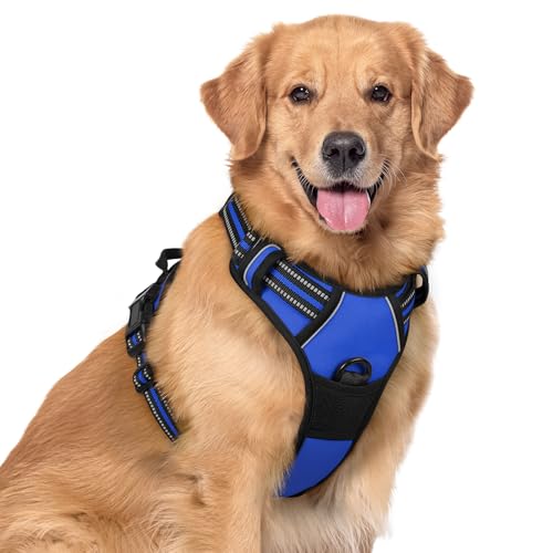 Dog Harness No Pull for Large Dogs with 2 Leash Clips (X-Large / Dazzling Blue)