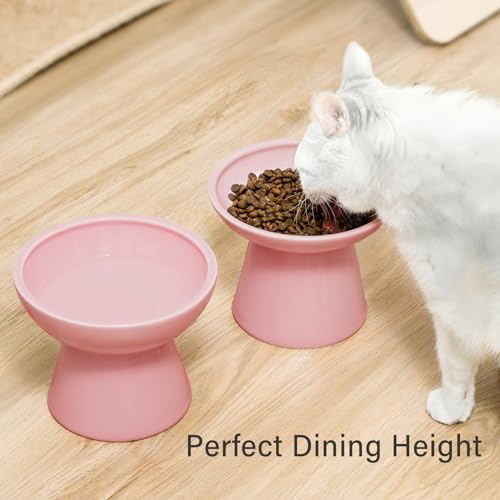 2 Pack Elevated Ceramic Cat Bowls Extra Wide for Food & Water (Pink)