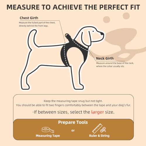Adjustable Pet Harness Collar &Leash Set Step in for Small Dogs Puppy &Cats Outdoor Training &Running (Beige / M (CHEST 16"-18"))