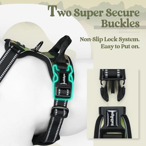 Dog Harness No Pull for Small Dogs with 2 Leash Clips (Small / Green Mountain)