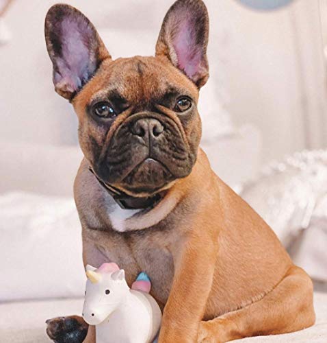 Puppy Chew Toys