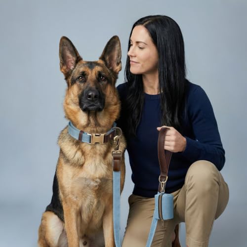PU Leather Dog Leash for Large Dogs (Denim Blue / 1"x 6FT)
