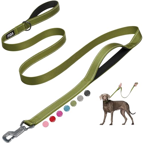 Heavy Duty Dog Leash for Medium Large Dogs (6 Feet (Pack of 1) / Green)
