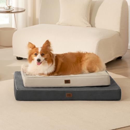 Large Orthopedic Memory Foam Dog Bed Washable (Beige / 36*27*3 Inches)