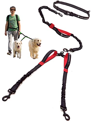 Exquisite Hands Free Double Leash for Two Dogs No Tangle. Premium Quality & Versatile Running Your Two Large Dogs. You Will Absolutely Love This Amazing Dual Dog Leash (Black & Red)