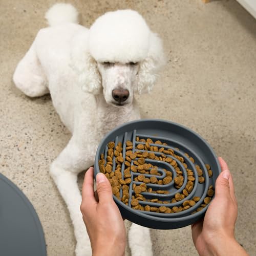 Slow Feeder Dog Bowl (Charcoal - Rainbow Design / Large (9.5” Across and 1.5” Tall))