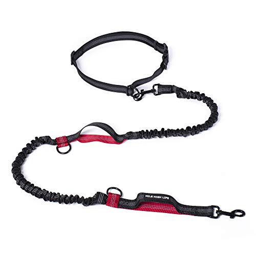 Hands Free Leash (Black Red / 7FT Hands Free)