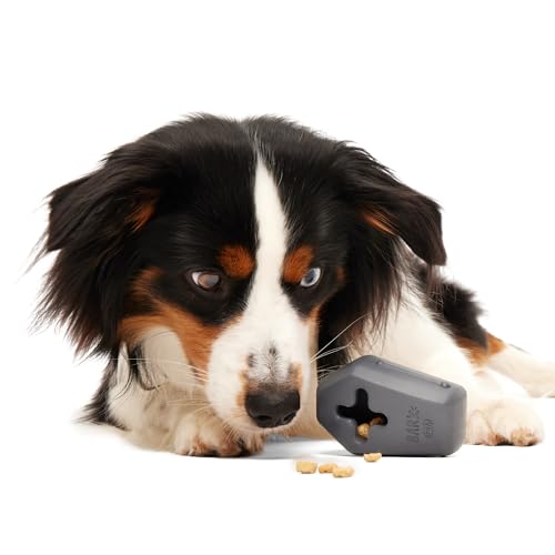 Drac Casket Dog Toy (Medium / Drac Casket)