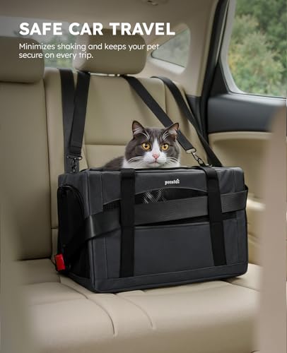 Cat Carrier Stable (Dark Gray Regular / 16.9"L x 11.0"W x 11.0"H)