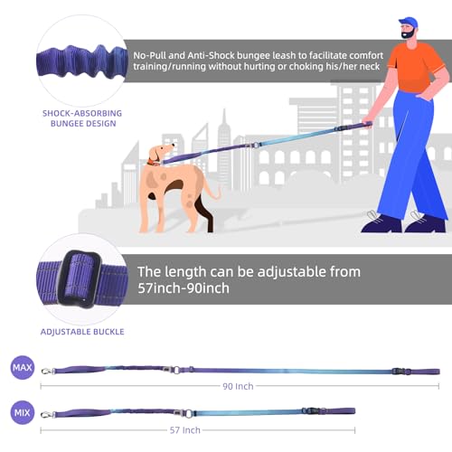 Hands Free Dog Leash for Medium Large Dogs Heavy Duty (Violet)