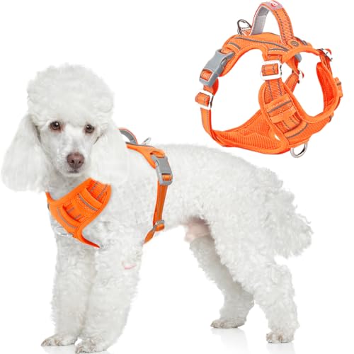 No Pull Dog Harness for Small Sized Dogs (X-Small(Chest:15.5-19.5”) / Orange)