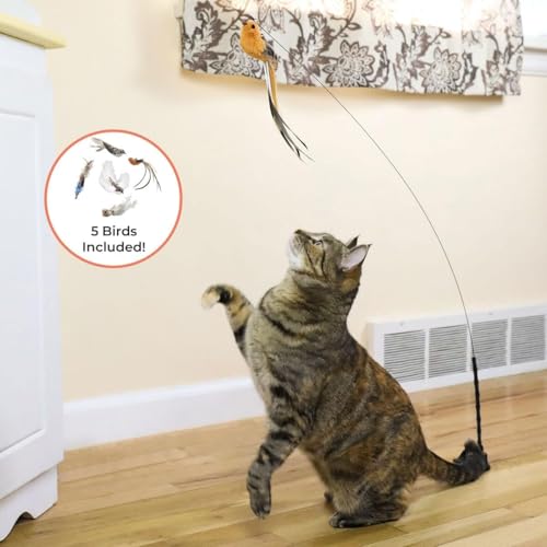 Interactive Bird Simulation Cat Toy Set (Standard Hybrid Bundle)