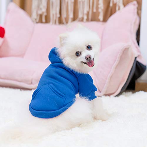 Dog Hoodie for Large Medium Small Dogs (Blue / Small)