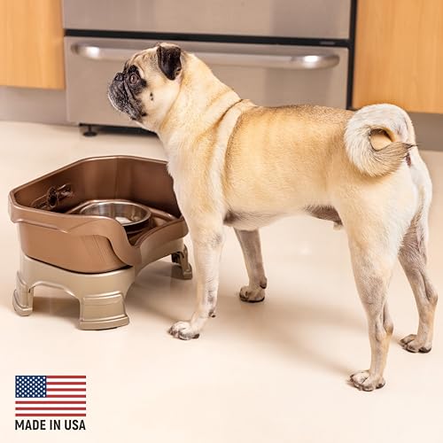 Neater Feeder Deluxe Mess (Small + Standard Bowl / Bronze)