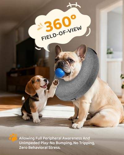 Inflatable Dog Cone (AshGrey / M(12"-15"))