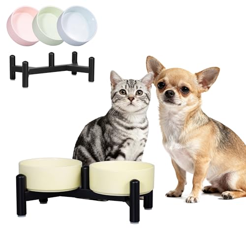Elevated Ceramic Dog Bowl Set (Yellow / 1.4 Cups)