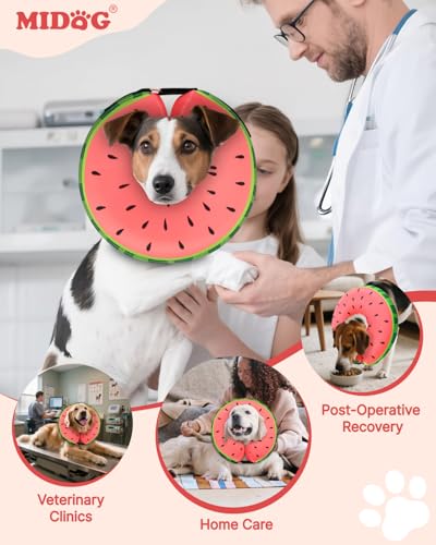 Inflatable Dog Cone (Red / S(9"-10"))