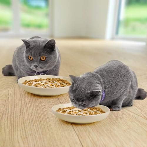 Slow Feeder Cat Bowl Set of 2 (cream)