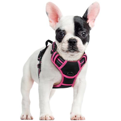 Dog Harness No Pull for Small Dogs with 2 Leash Clips (Small / Black & Hot Pink)