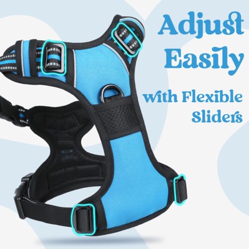 Dog Harness for Large (X-large / Sky Blue)