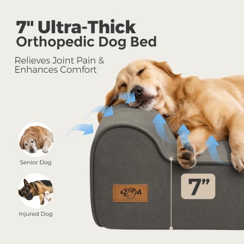 XXL 35D Memory Foam Dog Bed for Extra Large Dogs (XX-Large / Dark Grey)
