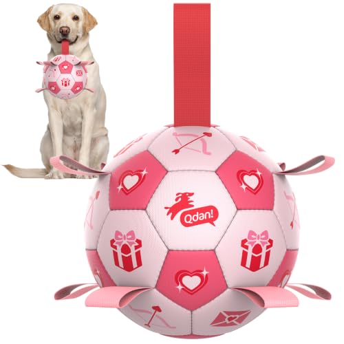 Dog Birthday Toys (Pink / 8 Inch)
