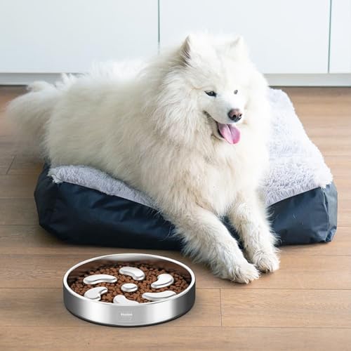 Slow Feeder Dog Bowl (Spiral-2Pack / L 3~3.5Cups)