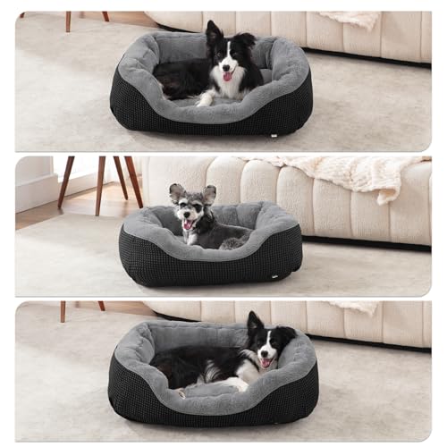 Large Dog Beds Large Sized Dog (L PLUS (38"x28"x8") / Black)