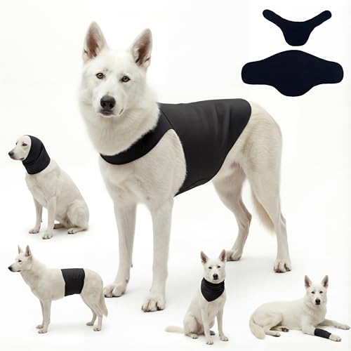Dog & Cat Surgery Recovery Suit and Anxiety Wrap (XL / Black)