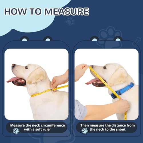 Sponge Core Dog Cone (Gray / Size 2(Neck: 8.7"- 10.7"))