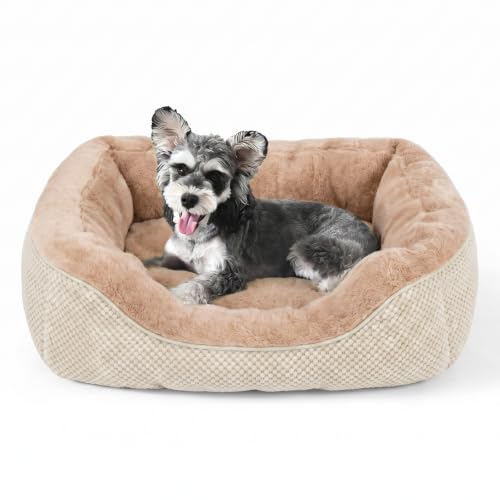 Small Dog Bed Washable Orthopedic Calming Warming Durable Pet Bed with Anti (S (20"x19"x6") / Beige)