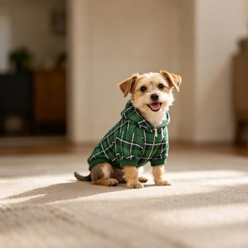 Plaid Dog Hoodie (Small / Green)