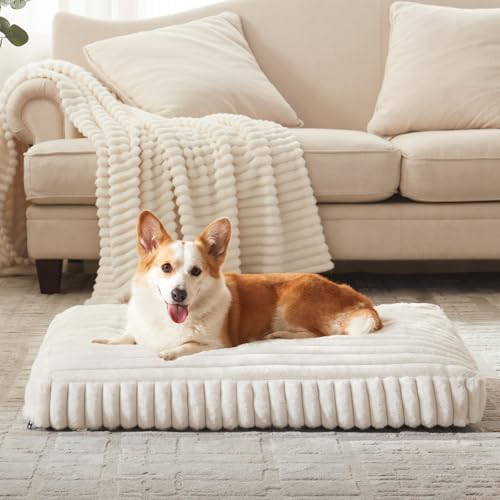 XXL Dog Bed Flat Pet Beds with Removable Washable Cover (Cream / XXL (47"x29"x4"))
