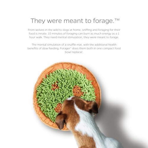 Forager Snuffle MAT and Slow Feeder Dog Bowl