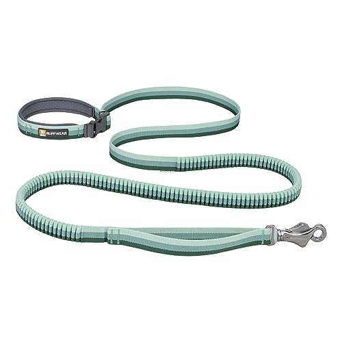 Roamer Bungee Dog Leash (5.5'-7' / River Rock Green)
