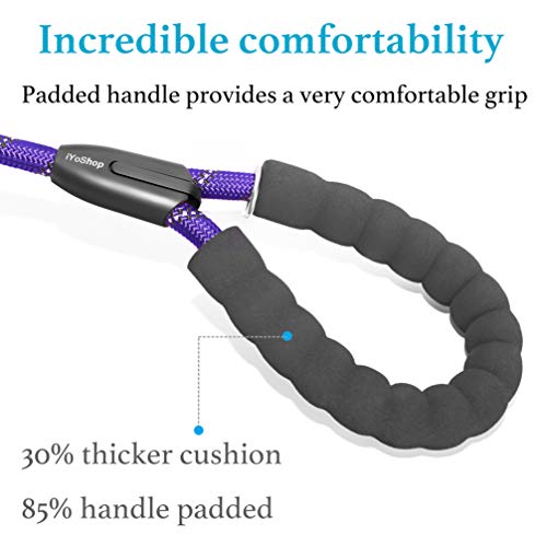 Double Dog Leash (Purple / Large)
