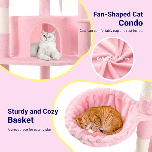 73in Fan Shaped Space (Pink)