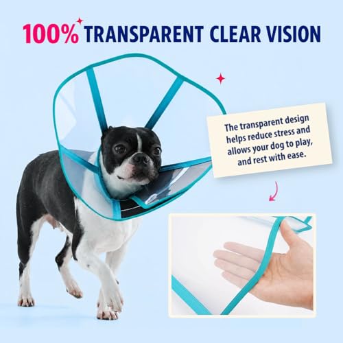 Hard Plastic Dog Post Surgery Recovery Cone Collar with Soft Neck Pad (Blue-Green / X-Large)