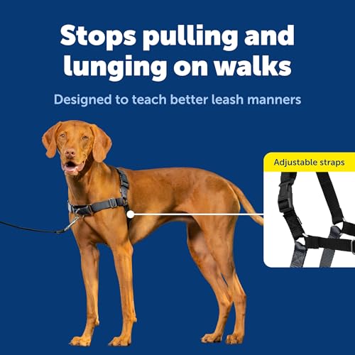 Easy Walk Harness (Medium / Charcoal/Black)