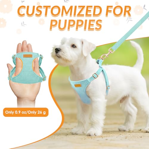 No Pull Dog Harness with Leash for Small Medium Dogs (X-Small(6-11lb) / Solid Teal)