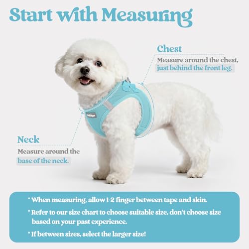 Dog Harness Medium Sized and Leash Set (Mint Blue / Xxl (chest: 21.6 - 23.7"))
