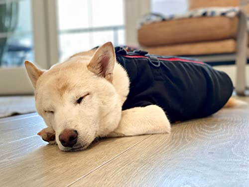 Zip Up Fleece Dog Sweater (Large chest (~20") / Black)